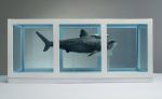 Shark-21