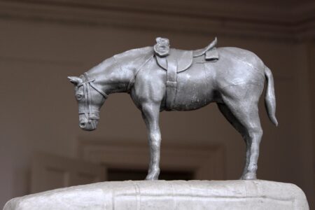 Contempt & Contemplation - The Horse Memorial - Jonathan van der Walt sculpture